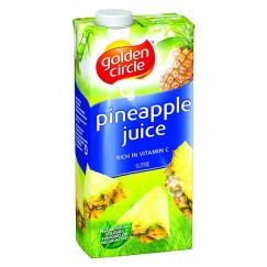 JUS ANANAS GC 1L BRIK