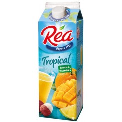 NECTAR EXOTIQUE REA 2L BRIK