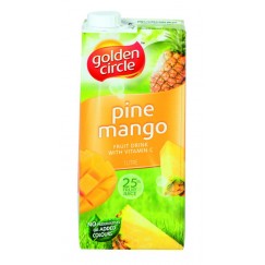 JUS ANANAS/MANGUE GC 1L BRIK