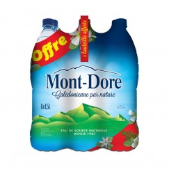 EAU SOURCE MONT DORE 6X1L5