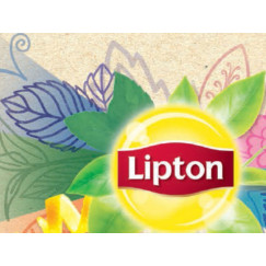 THE BIO COFFRET 40S.58G LIPTON