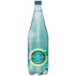 EAU PETILLANTE MT DORE 1L25