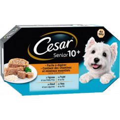 BARQ GELEE SENIOR 4X150G CESAR