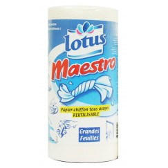 ESS-TOUT MAESTRO 1RLX